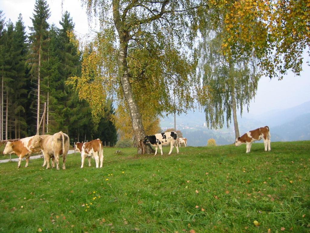 Ferienwohnung am Oberrainerhof Arriach Exterior foto